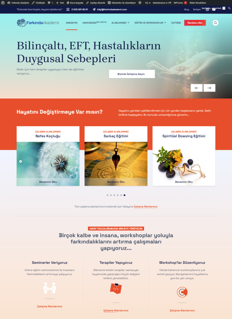 Farkında Akademi Web Sitesi