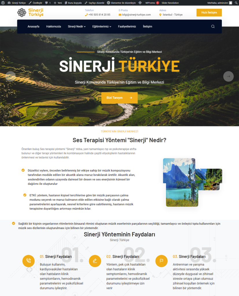 Sinerji Türkiye Web Sitesi